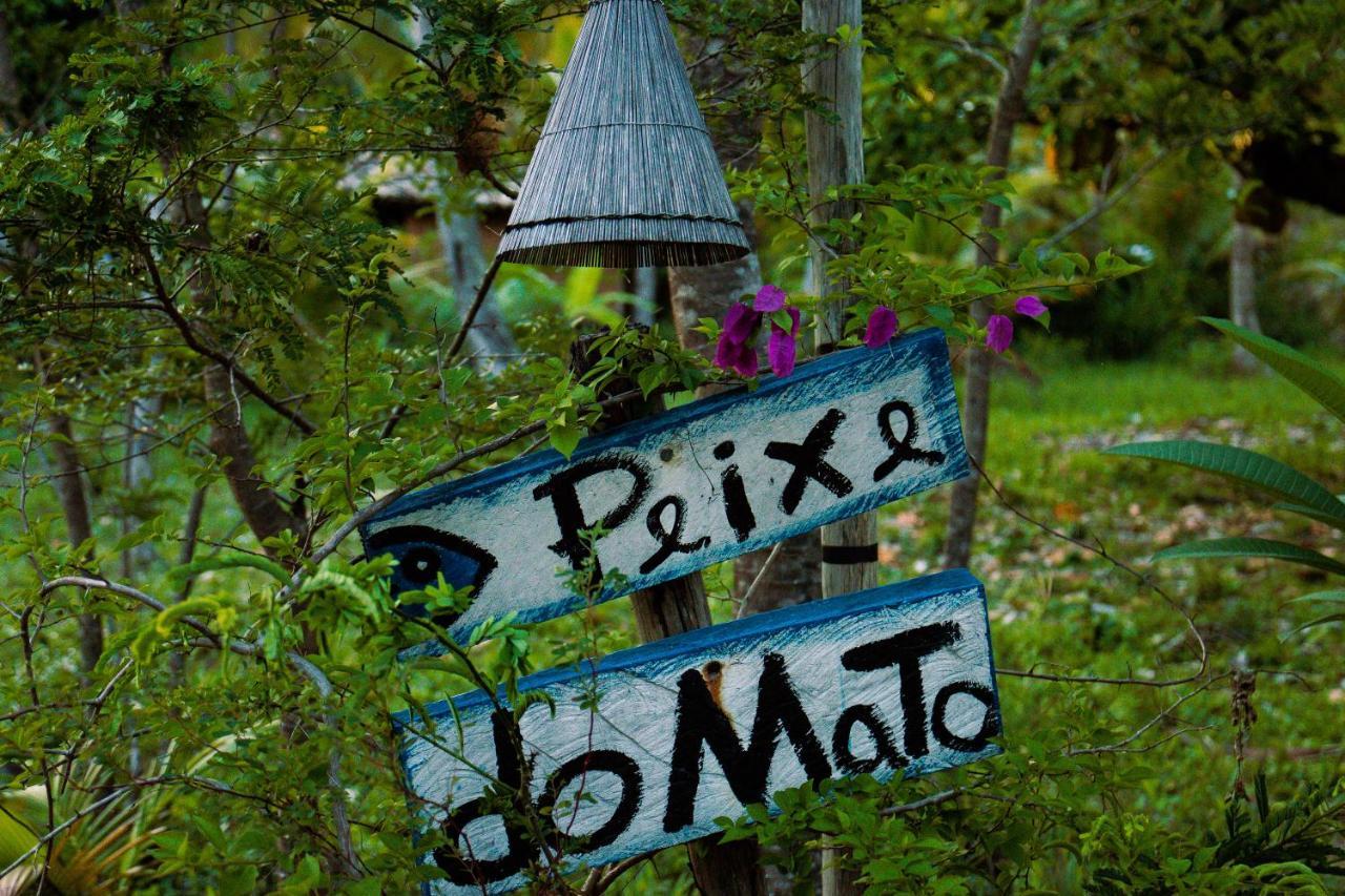 Sitio Peixe do Mato São Miguel dos Milagres Exterior foto