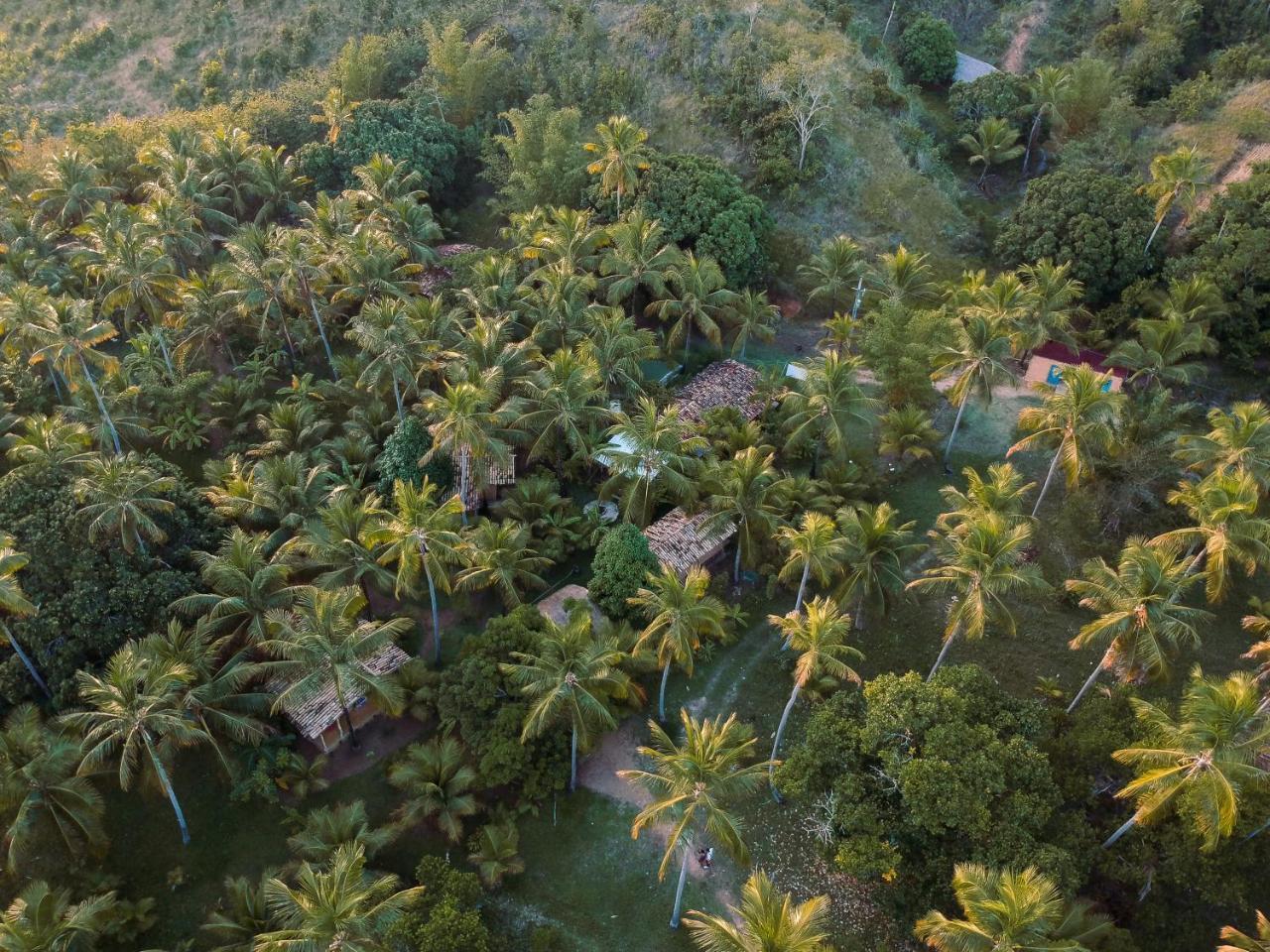 Sitio Peixe do Mato São Miguel dos Milagres Exterior foto