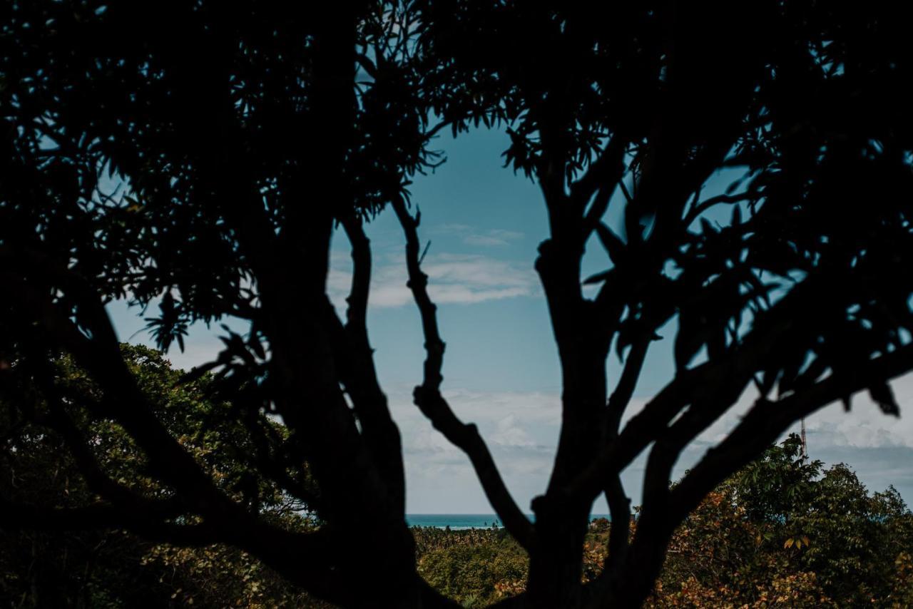 Sitio Peixe do Mato São Miguel dos Milagres Exterior foto